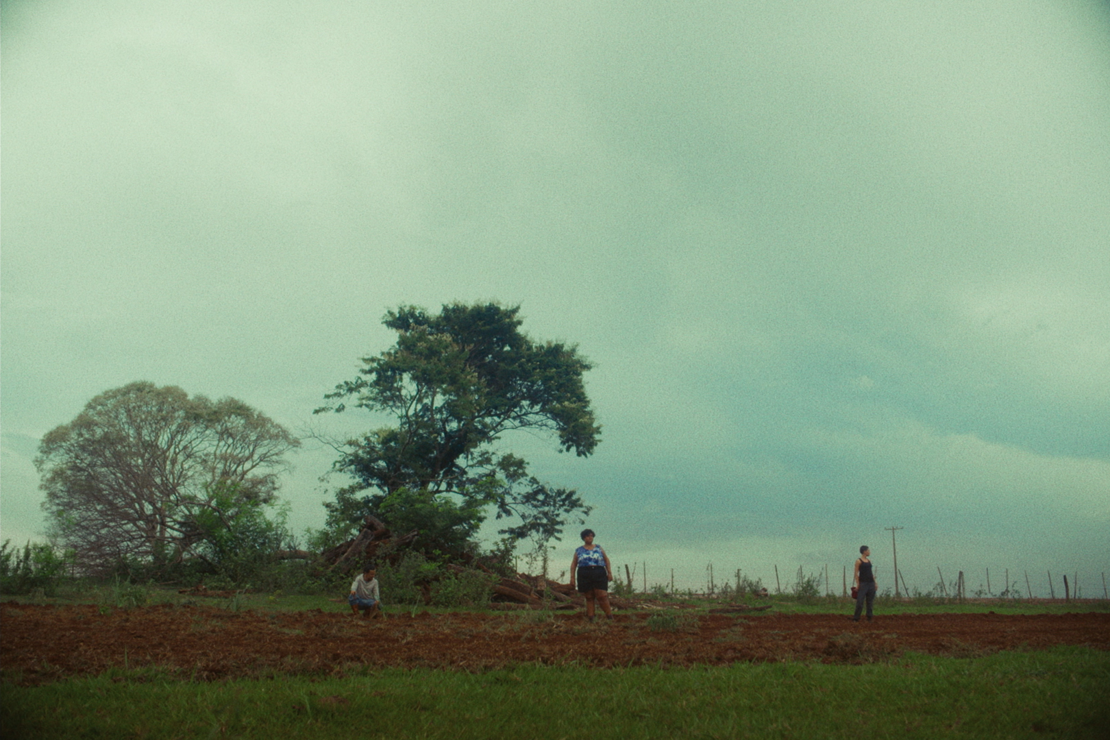 Estreias: CIDADE; CAMPO