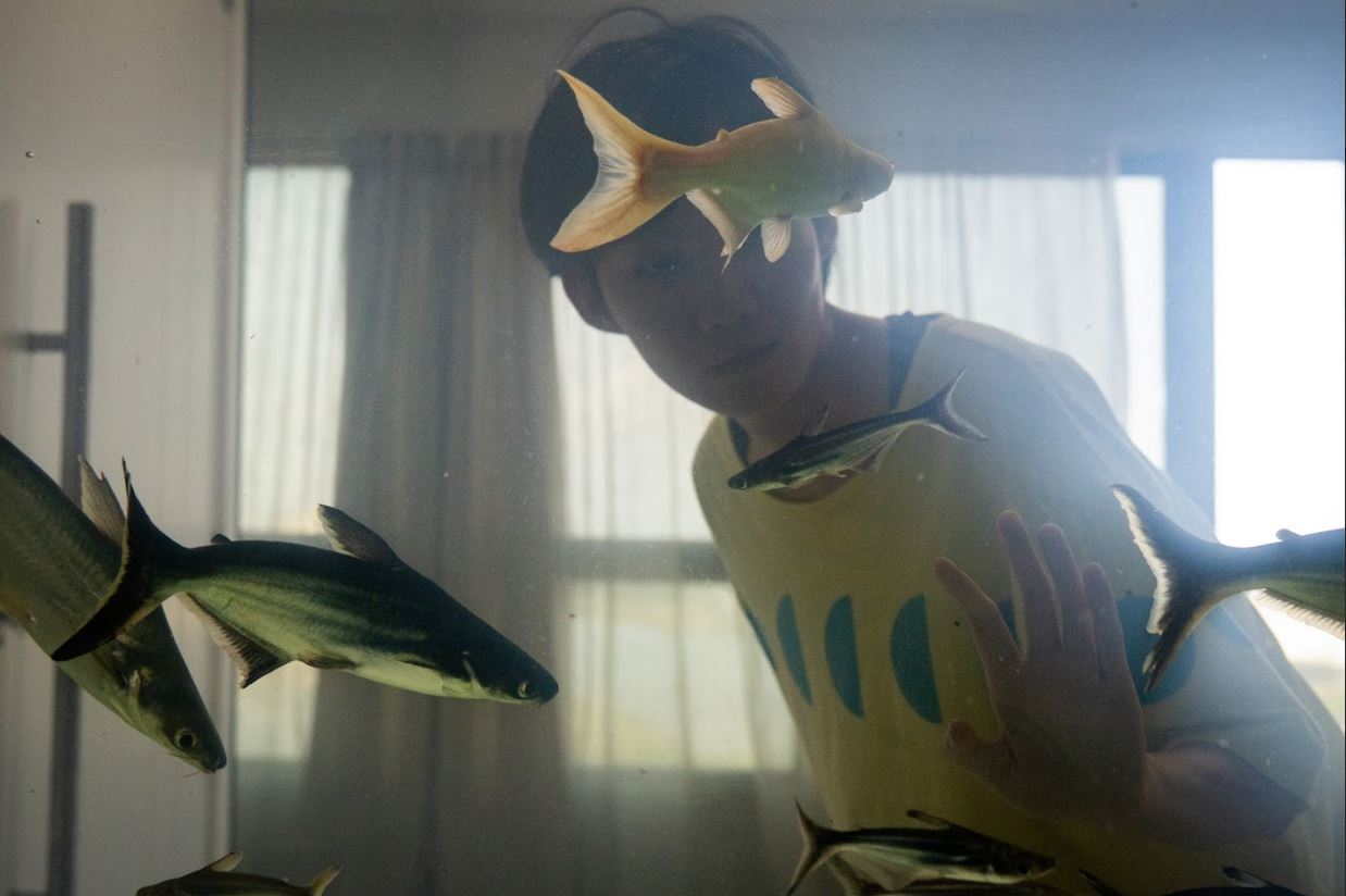 Produzido por Kleber Mendonça Filho, Dormir de Olhos Abertos apresenta o Brasil sob o ponto de vista do estrangeiro