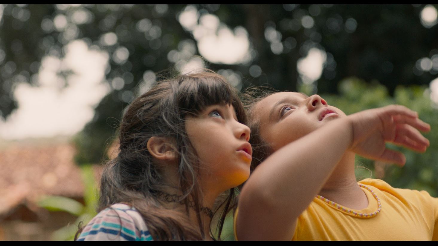 A Natureza das Coisas Invisíveis, de Rafaela Camelo, vence 3 prêmios no 53º Festival de Gramado