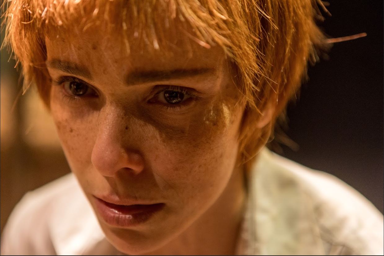 Estrelado por Débora Falabella, Cacilda Becker em Cena Aberta promete um mergulho sensível na vida da lendária atriz